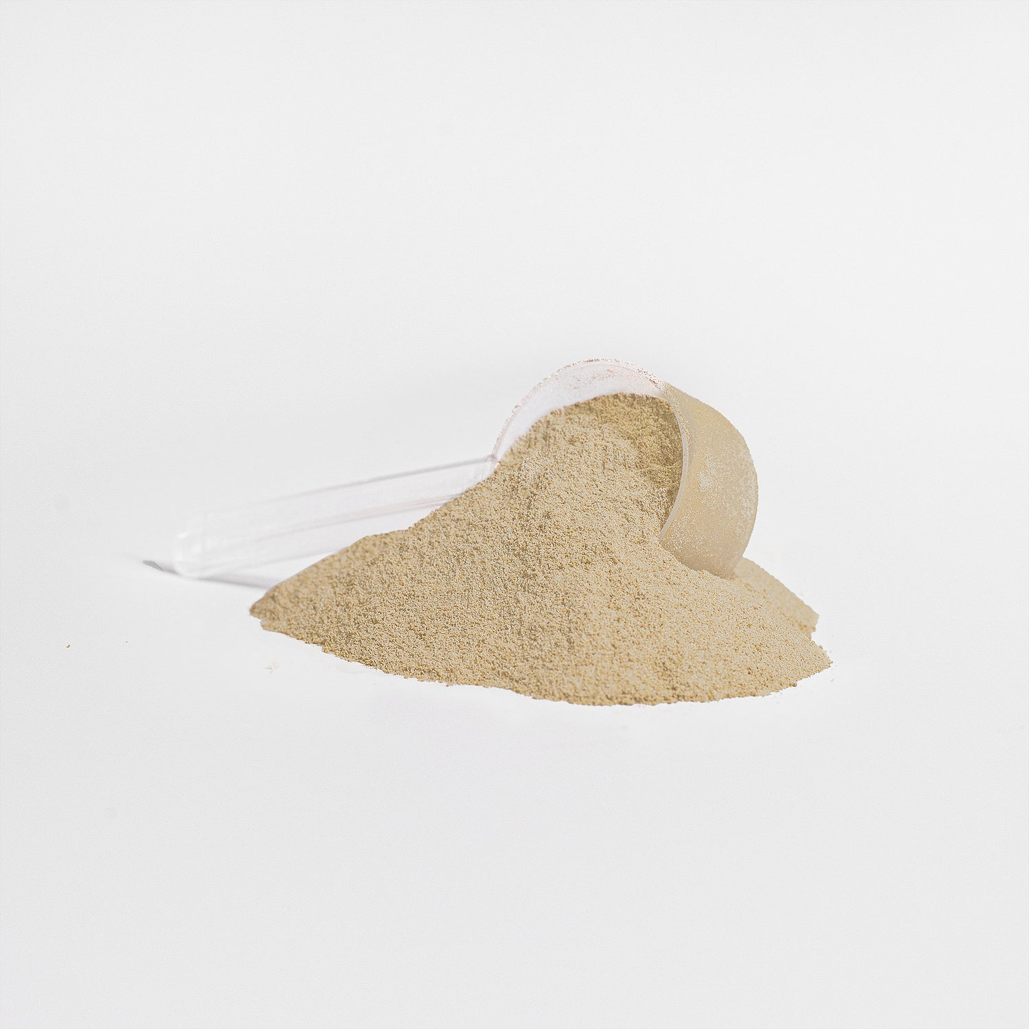 Fava Bean Plant Protein (Vanilla)