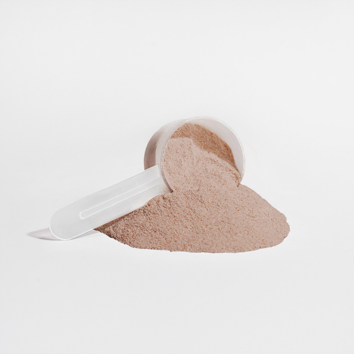 Fava Bean Plant Protein (Chocolate)