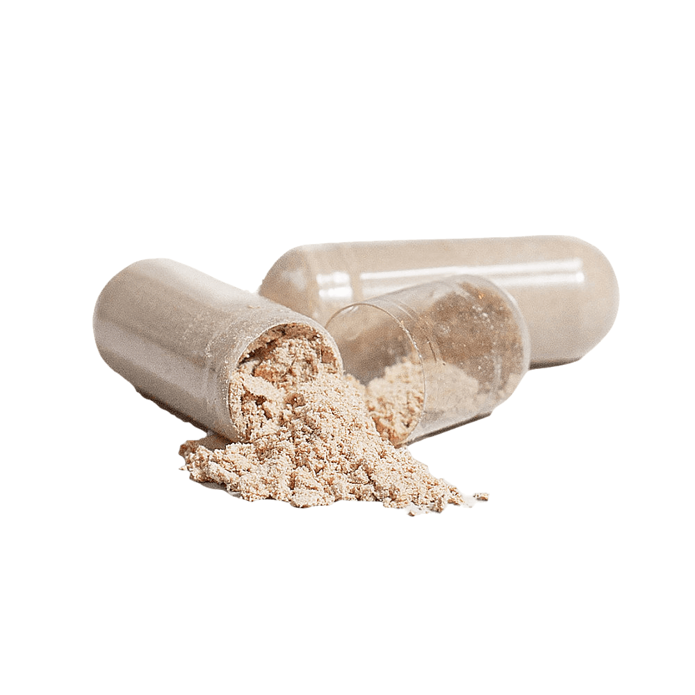 Neuro Protect Lion's Mane